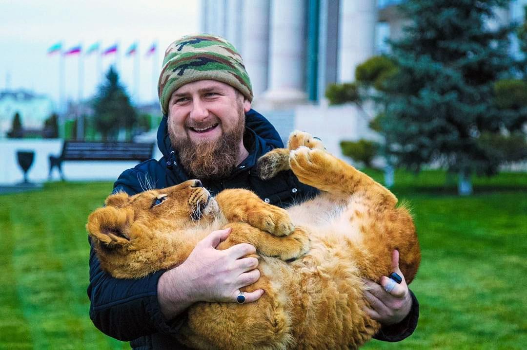 Kadirov oroszlánnal. Van fotó krokodillal, tigrissel és kutyával is
