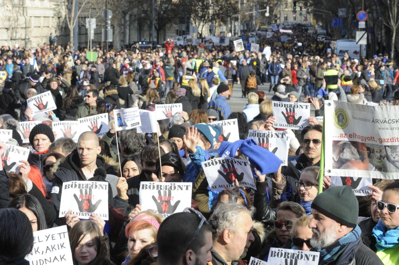 Február 20-án Budapesten  nagyszabású állatkínzás-ellenes tüntetést tartottak