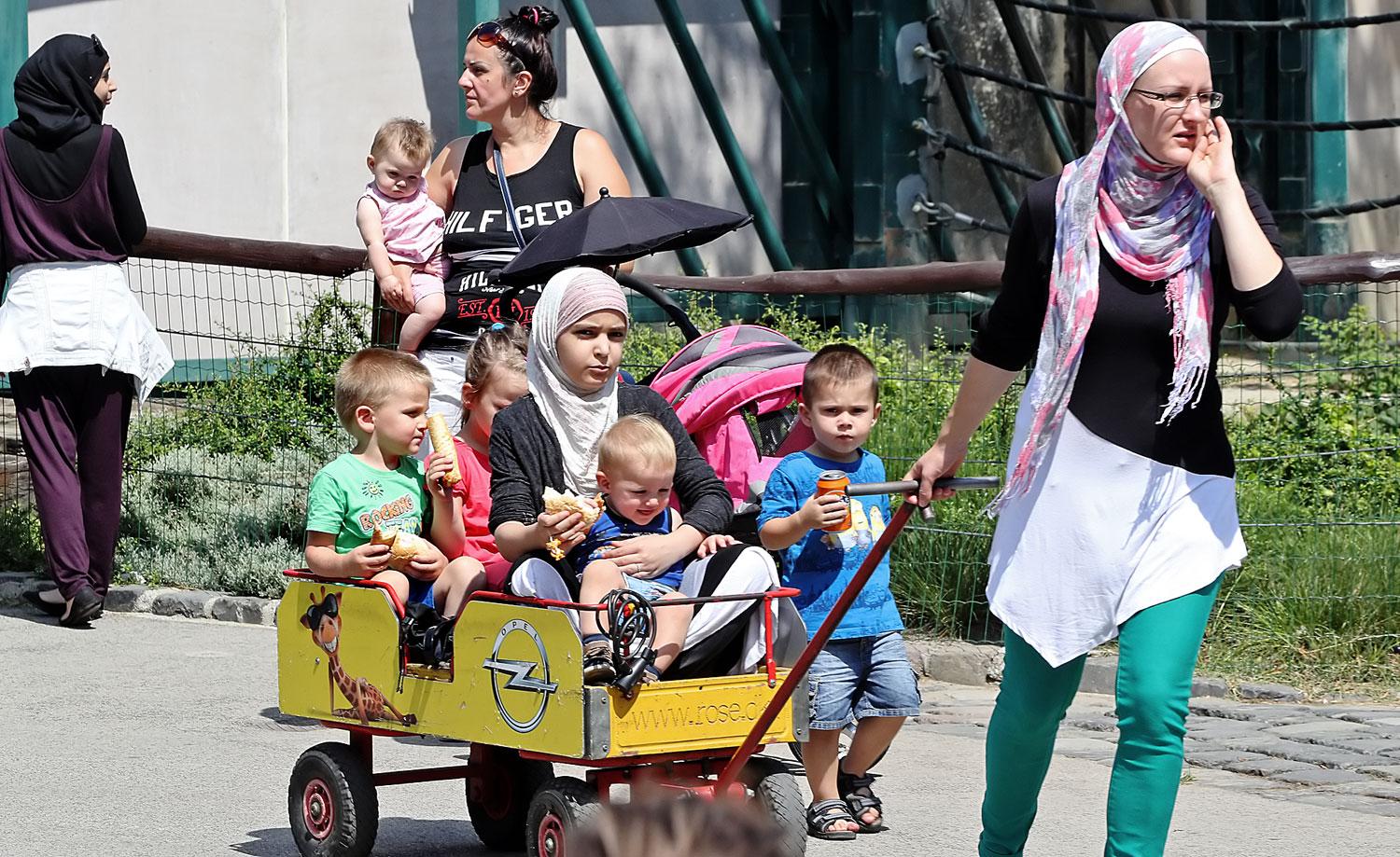 Gyerekszállító kocsi a budapesti állatkertben