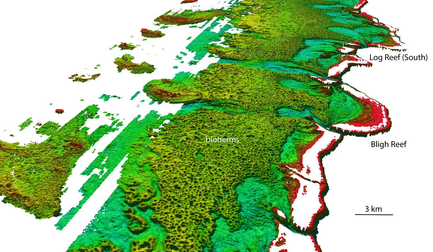 Az újonnan felfedezett korallzátony lézeres radarképe (a sekélyebb részeket vörössel, a mélyebbeket kékeszölddel jelöltek) 