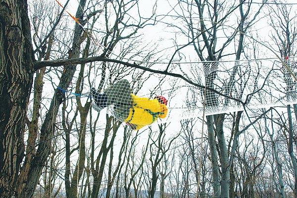 A Greenpeace-aktivisták a fák között kifeszített függõágyakban alszanak