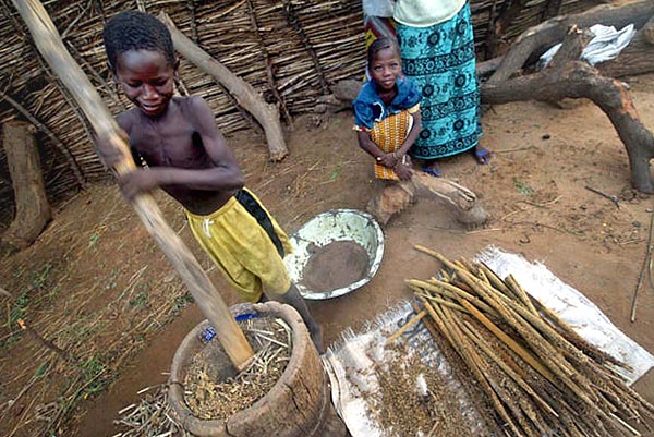 Kölesõrlés reggelire Niger fõvárosa mellett, Niamey-ben - többbezer nigeri gyereket az éhenhalás fenyeget