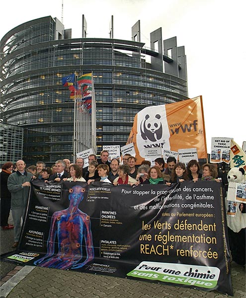 REACH-párti demonstráció az Európai Parlament elõtt