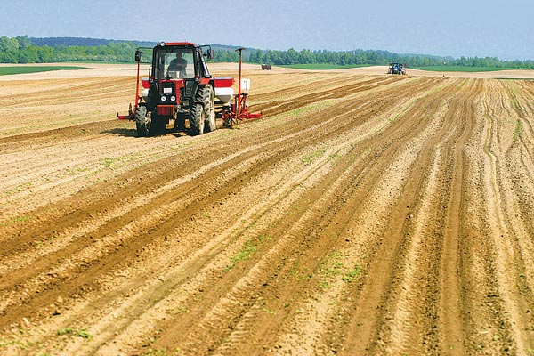 Racionalitás. A biogazdálkodást felszámolva vetnek hibridkukoricát Balatonmagyaród mellett a Kis-Balatonnál - a biotermékek ugyan keresettek Nyugat-Európa-szerte, de veszteséget hoznak, a kukoricából túltermelés van, de az intervenció miatt nyeresége