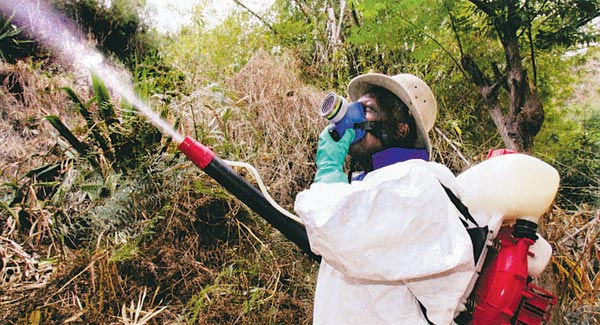 Szúnyogirtás Réunion szigetén  