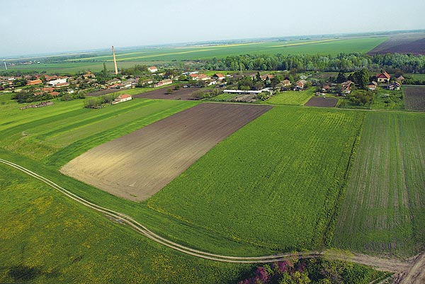 Egyetlen kikötés, hogy a fásítani kívánt birtok legalább két éve mezõgazdasági mûvelés alatt álljon  