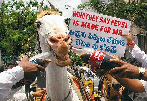 Indiai kólaellenes tüntetõk egy lóval próbálják megitatni a szerintük mérgezett üdítõket  AFP