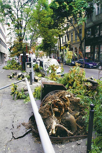 Budapest, Belváros, Kecskeméti utca: másnap  