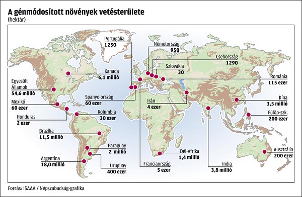 A génmódosított növények vetésterülete