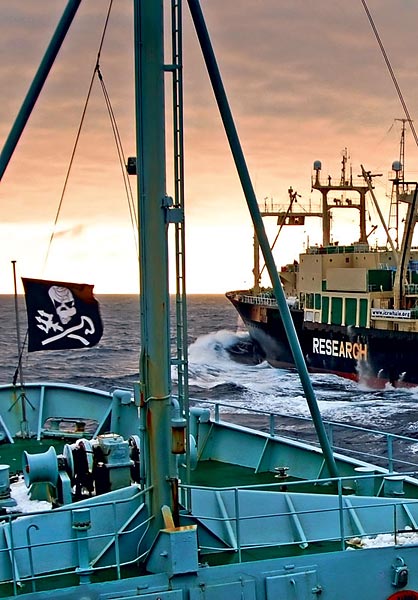 Fogócska az Antarktisznál: a bálnavadászatot ellenzõk hajója megközelíti a Nisshin Marut