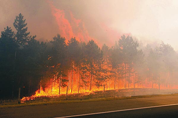 Ég az erdő a Pest megyei Inárcs közelében, a füst miatt az M5-ös egy szakaszát is le kellett zárni