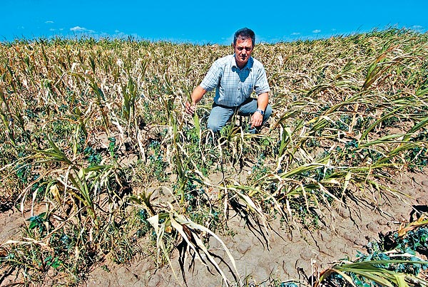 A két évvel ezelőtti aszály pusztításához hasonló  fenyeget az idén is
