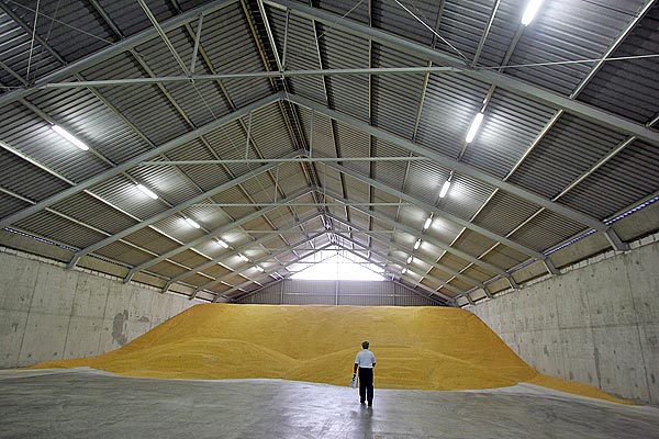 Uniós kukorica egy magyar raktárban