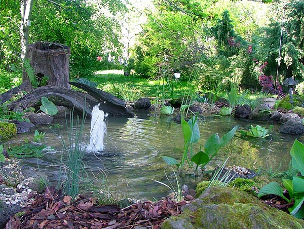 Irigylésre méltó kerti tó az idei dísznövénykiállításon