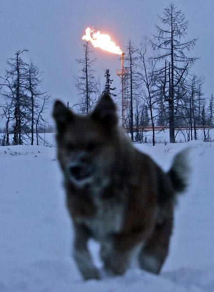 A Gazprom egyik orosz gázmezője