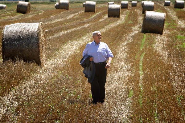 Szabó István 84 évesen is szereti a földet, és a KITE egyik kft.-jének elnöki teendőnek ellátásán kívül újfajta zöldségeket termeszt
