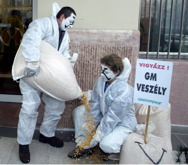 Greenpeace demonstráció a génkezelt kukorica ellen Budapesten