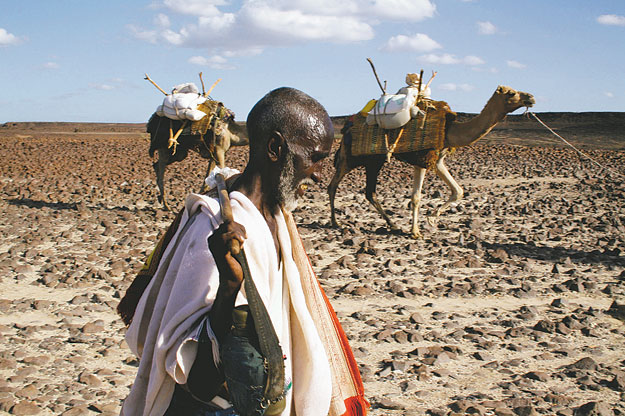 Tevekaraván Etiópiában - az ország legfőbb gondja a víz