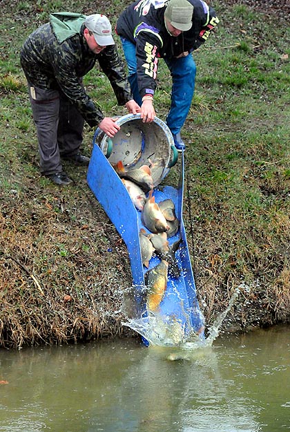 Termetes pontyokat kap a szegedi Holt-Maros