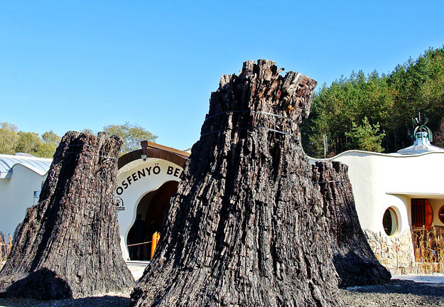 Az ipolytarnóci látogatóközpont az ősfenyők maradványaival