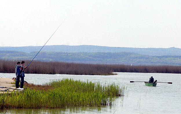 Horgásznak a Velencei tónál