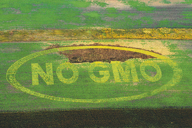 GMO-ellenes felirat egy osztrák ültetvényen