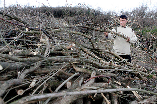 Babai János helyi roma fiatalember vágja a fát