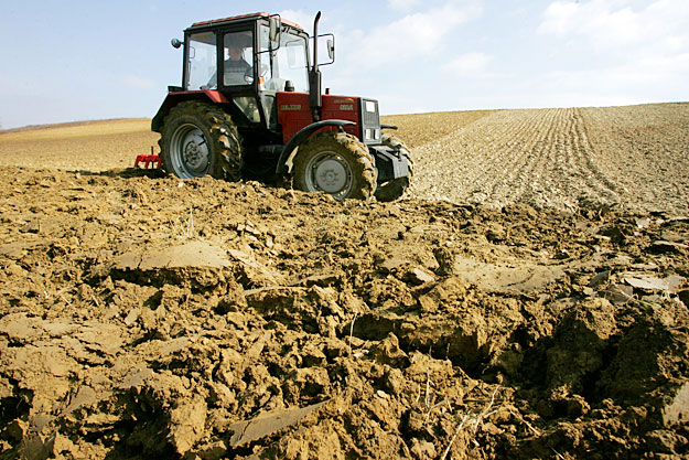 Nagykanizsa határában egy MTZ BELARUS 820-as traktor