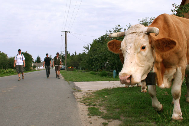 Nyáron a vízi túrázók, az év többi részében a gyalogtúrázók számára rejteget természeti csodákat Tiszabecs. A falu mellett torkollik a Tiszába a Batár, a magyar-ukrán határfolyó. Innen már jól látni a Kárpátok vonulatait is