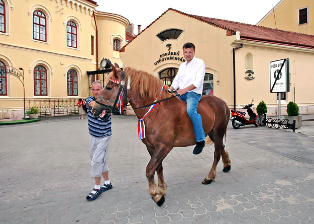 Fehér lovat ugyan nem talált Hlina, de irtaná a mítoszokat