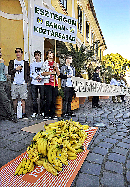 Banán halom az esztergomi városháza előtt