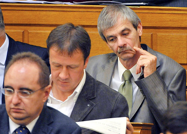 Molnár Oszkár (hátul) a parlament plenáris ülésén