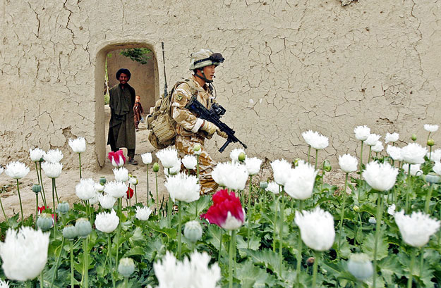 Afganisztán, Helmand tartomány: NATO-katona a mákföldön, járőrben