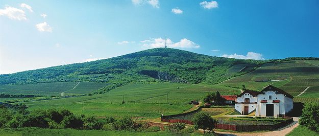 A Hétszőlő Tokaj-Hegyalja egyik legszebb birtoka