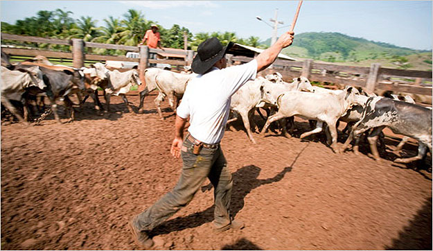 Sao Felix do Xingu és Vila dos Crentes állattenyésztőket és más, olcsó földet kereső telepeseket vonzott. Ám a törvénytelenség továbbra is uralkodik