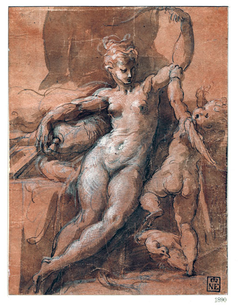 Venus lefegyverzi Amort, 1527–1530 körül