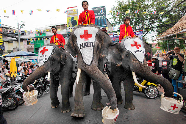 Adományokat gyűjtő elefántok Thaiföldön a haiti áldozatok javára