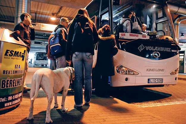 Februártól a Volán-dolgozóknak is jegyet kell váltaniuk a buszra – igaz, adminisztrációs célból