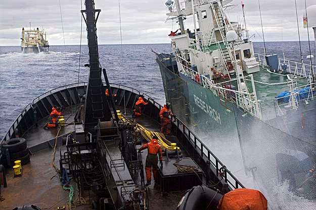 A Sea Shepherd Conservation Society környezetvédő szervezet hajója, a Bob Barker és a Yushin Maru 3 japán bálnavadász hajó ütközése 2010-ben az Antarktisz közelében