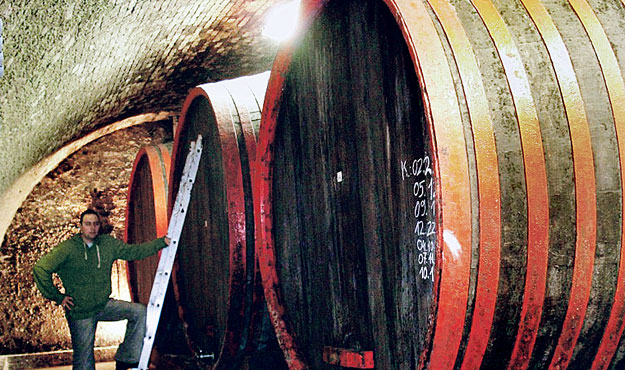 Hatalmas hordók őrzik az értékes borokat a Bozóky pincében