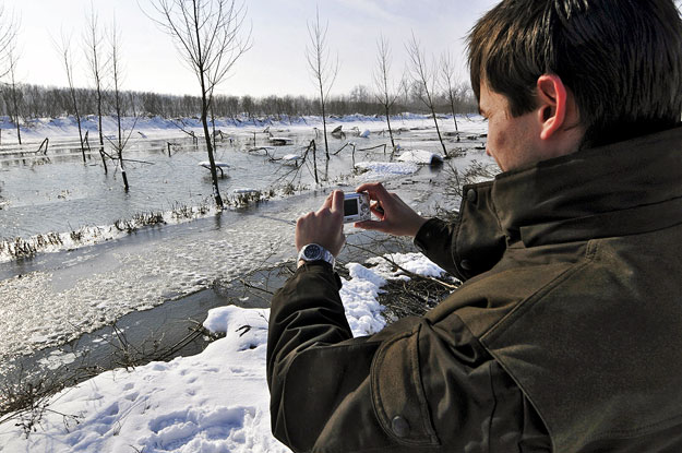 Csősz József erdőmérnök Tószeg határában fényképezi a jég okozta kárt