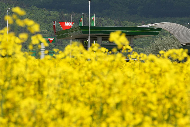 Mol-kút a repcemező mögött – sok a kivehetetlen részlet