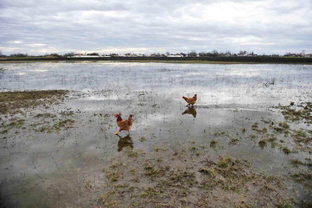 A dél-alföldi Csanyteleken mezőgazdasági területek kerültek víz alá