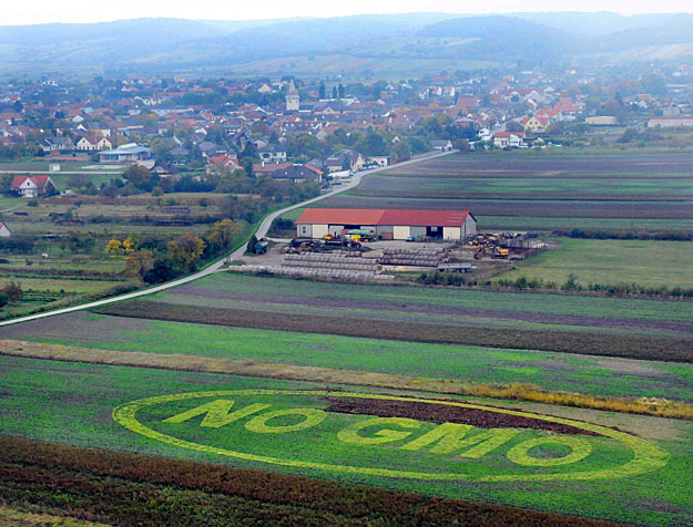 GMO-ellenes ábra egy osztrák ültetvényen