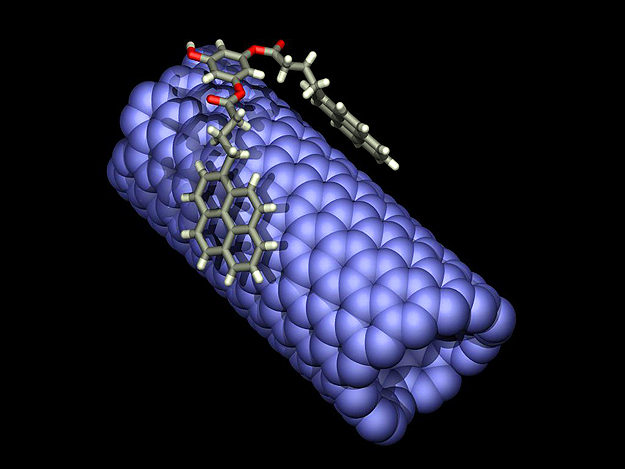 A hatóanyagot a kutatócsoport által kifejlesztett nanohordozóra telepítve juttatják el a szervezetben a hatás helyére