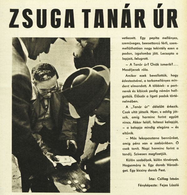 Csillag István tárcariportja 1964. június 9-én jelent meg a Tükörben