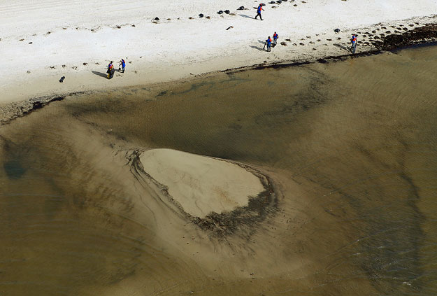 Olajáztatta algák Gulfport tengerpartján