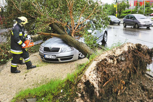 Autókat törtek össze a gyökerestül kifordult fák