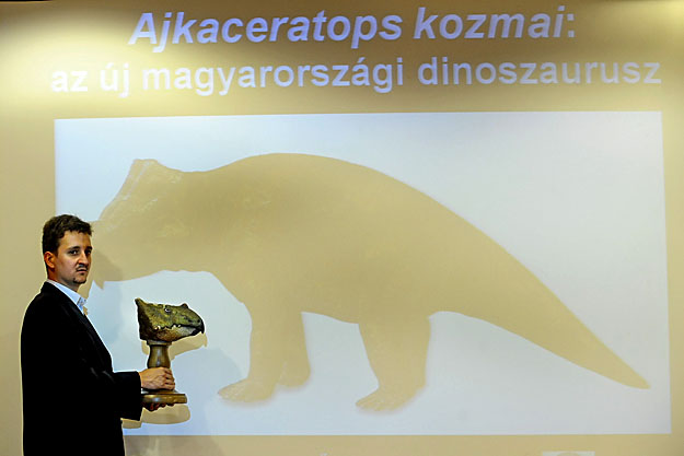 Ősi Attila nyolcvanötmillió éves dinoszaurusz maradványaira bukkant Iharkúton