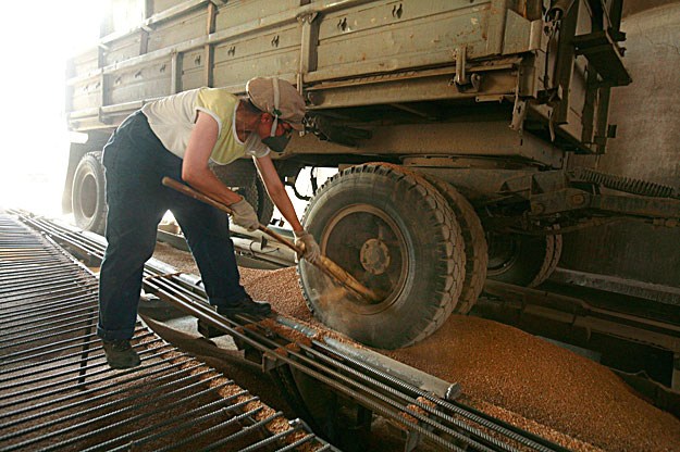 An employee helps to unload a truck with grains at an elevator in the village of Grachevka, some 40 km (25 miles) northeast of Russia's southern city of Stavropol, August 13, 2010. A ban on Russian grain exports, designed to restrain domestic food pr